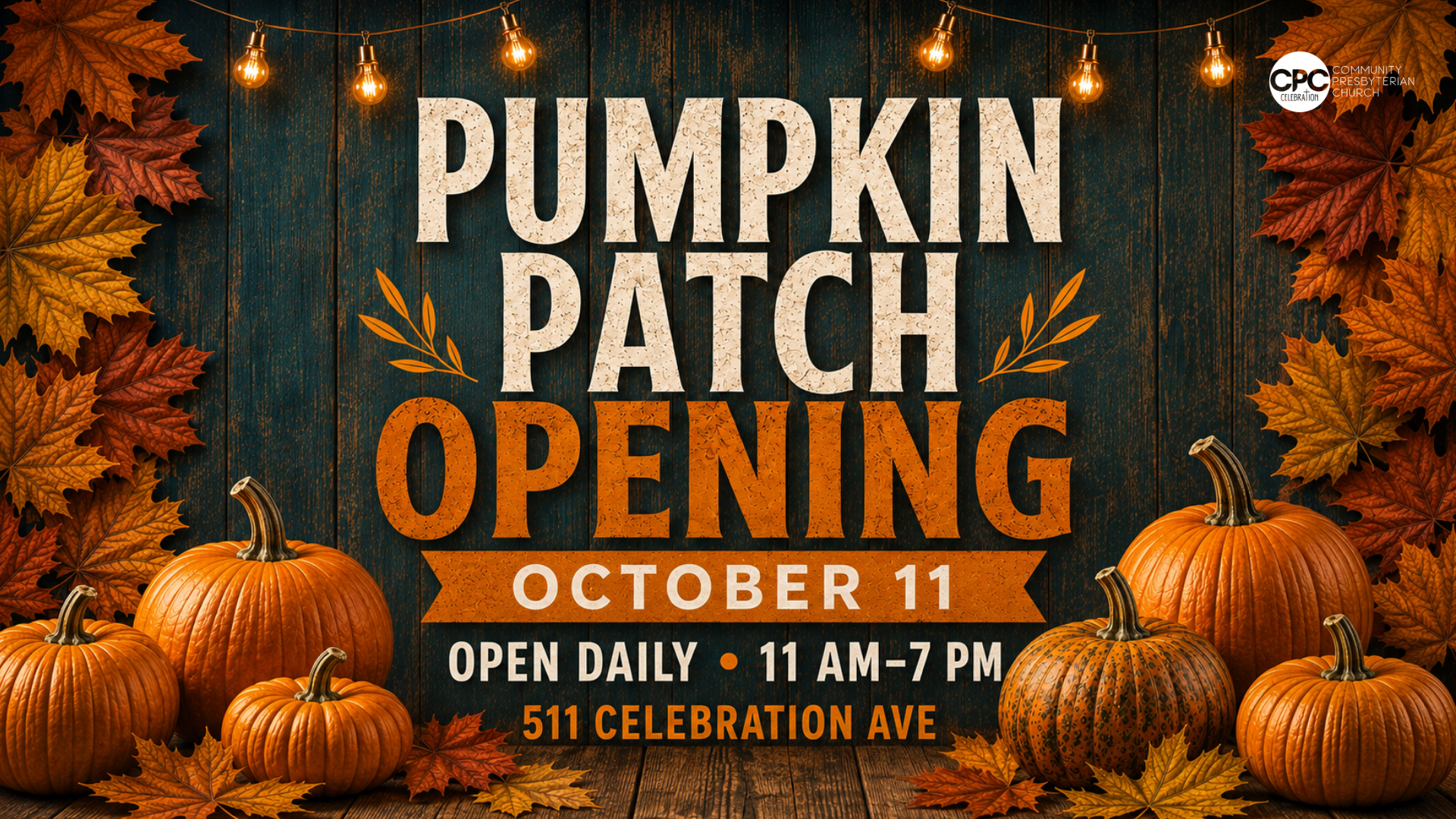 Pumpkin Patch Opening